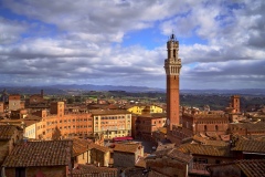 View from Museo dell'Opera del Duomo in Siena, 2020 7667 x 5114